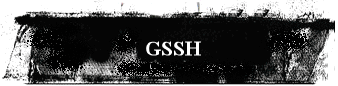 GSSH