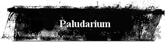 Paludarium