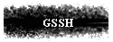 GSSH