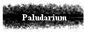 Paludarium