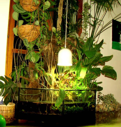 Paludarium